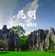 特色旅行定制景区一日游 